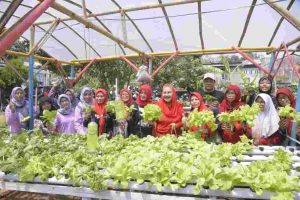 Inovasi Pertanian Perkotaan, Meretas Tantangan Lahan di Kota Semarang