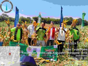 267 Hektare Panen Raya Jagung, Pupuk Formula Plus Ampuh Dongkrak Hasil Tani