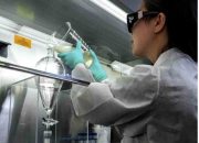 Mencari Nutrisi Terbaik untuk Masa Depan Anak Indonesia: Perjalanan Tanpa Henti dalam Optimalisasi Tumbuh Kembang Anak