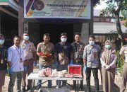 Cegah Penyakit ASF, Karantina Papua Selatan Musnahkan Daging Babi