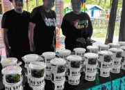 Meningkatkan Penghidupan Masyarakat Adat melalui Pengolahan Sagu