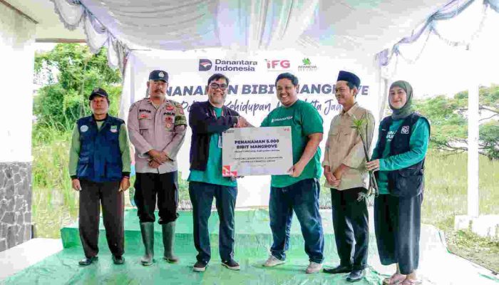 Mencegah Abrasi, Indonesia Financial Group Bersama Indonesia Hijau Tanam 5.000 Bibit Mangrove