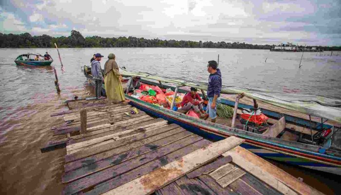 Di Hari Pangan Sedunia, FAO serukan peningkatan inovasi untuk menjamin pangan sehat bagi seluruh masyarakat Indonesia